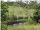 148 Barren Joey Drive, Ormeau Hills QLD 4208