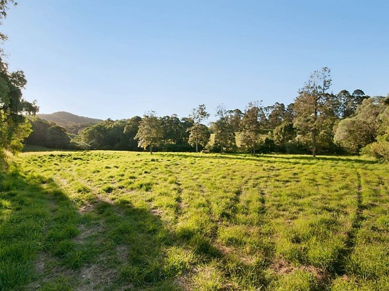 11 Piggotts Road, Guanaba QLD 4210