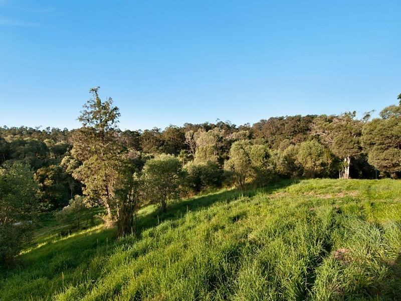 11 Piggotts Road, Guanaba QLD 4210