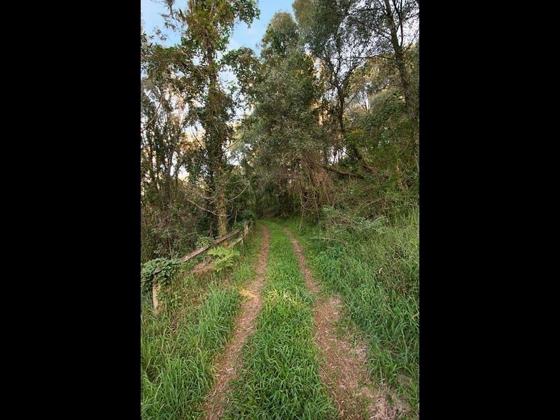 11 Piggotts Road, Guanaba QLD 4210