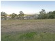 20 Verde Court, Upper Coomera QLD 4209
