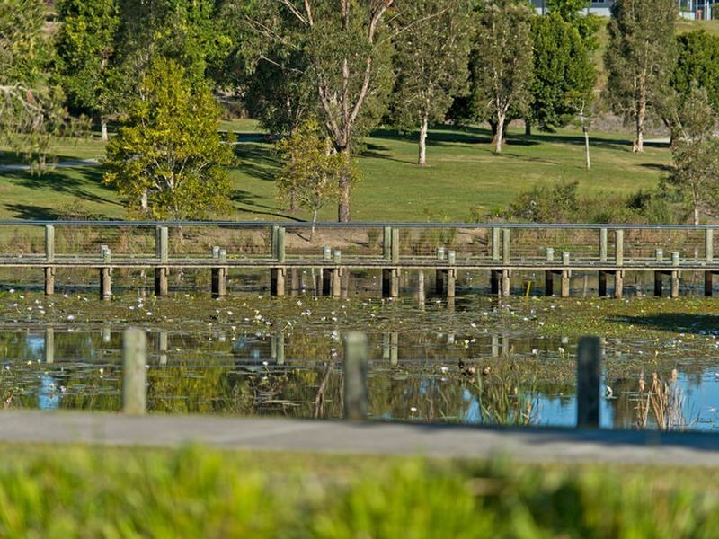 24 Waterclover Drive, Upper Coomera QLD 4209