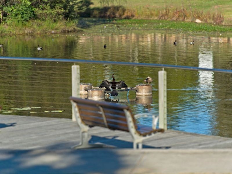 24 Waterclover Drive, Upper Coomera QLD 4209