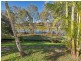 9 Caribou Crescent, Upper Coomera QLD 4209