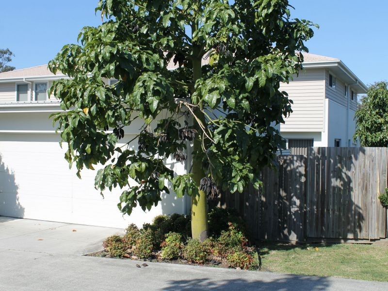 8/1 Christopher Street, Pimpama QLD 4209