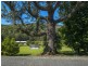 506 Cedar Creek Drive, Alberton QLD 4207