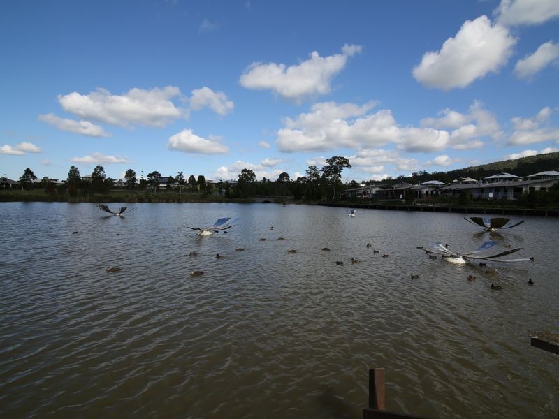 1 Conjola Crescent, Upper Coomera QLD 4209