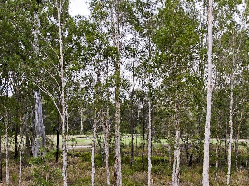 36 Bunderoo Circuit, Pimpama QLD 4209