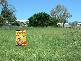 Abbotsford QLD 4670