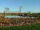 Abbotsford QLD 4670