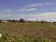 11 Whitesail Rd, Abbotsford QLD 4670