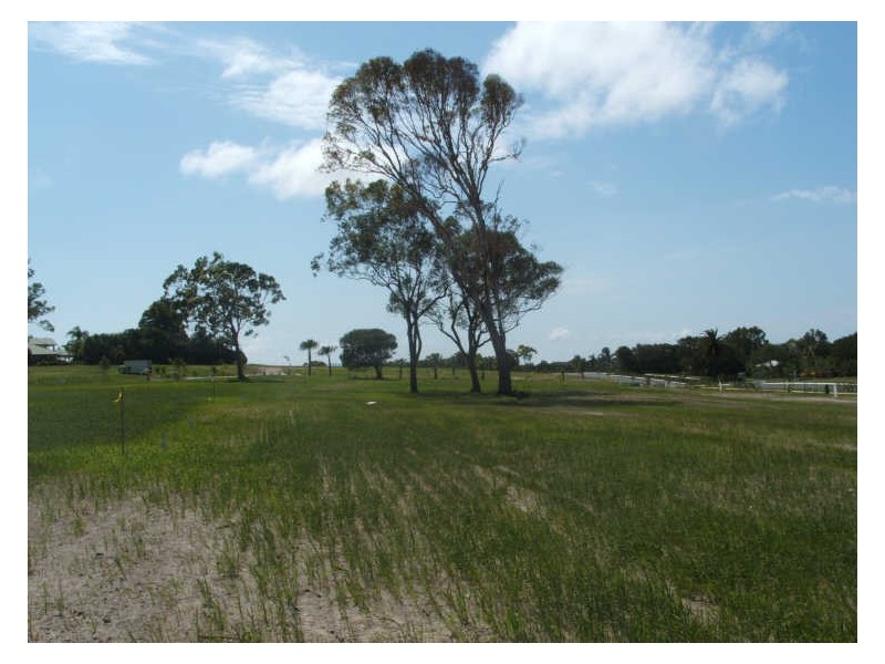 Subdivision/ Belle O’Connor Street, South West Rocks NSW 2431