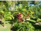 9 Palm Court, South West Rocks NSW 2431