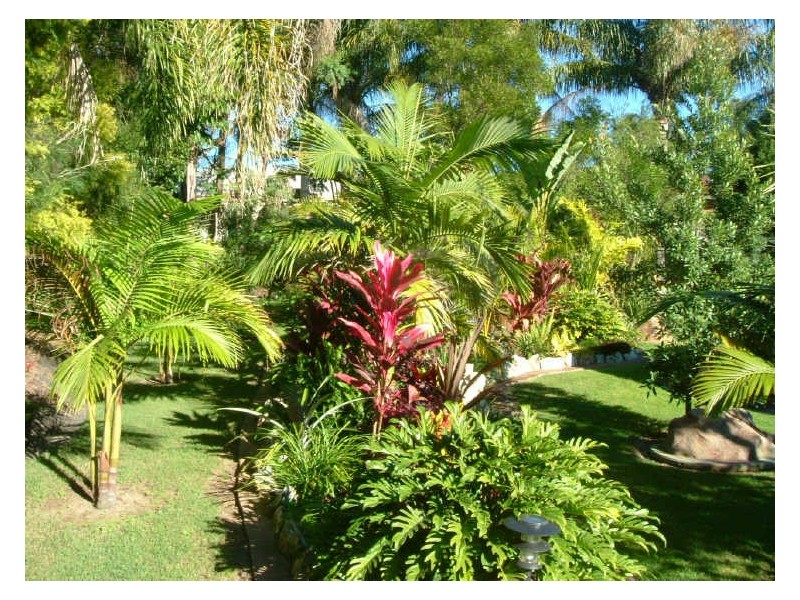 9 Palm Court, South West Rocks NSW 2431