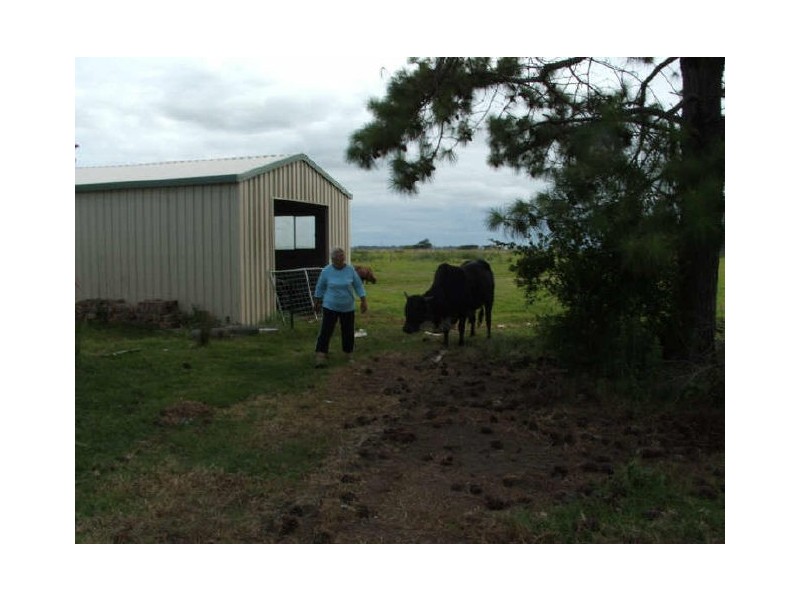 2614 South West Rocks Road, Kinchela, South West Rocks NSW 2431