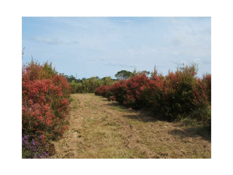 2614 South West Rocks Road, Kinchela, South West Rocks NSW 2431