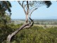91 Arakoon Road, Arakoon,, South West Rocks NSW 2431