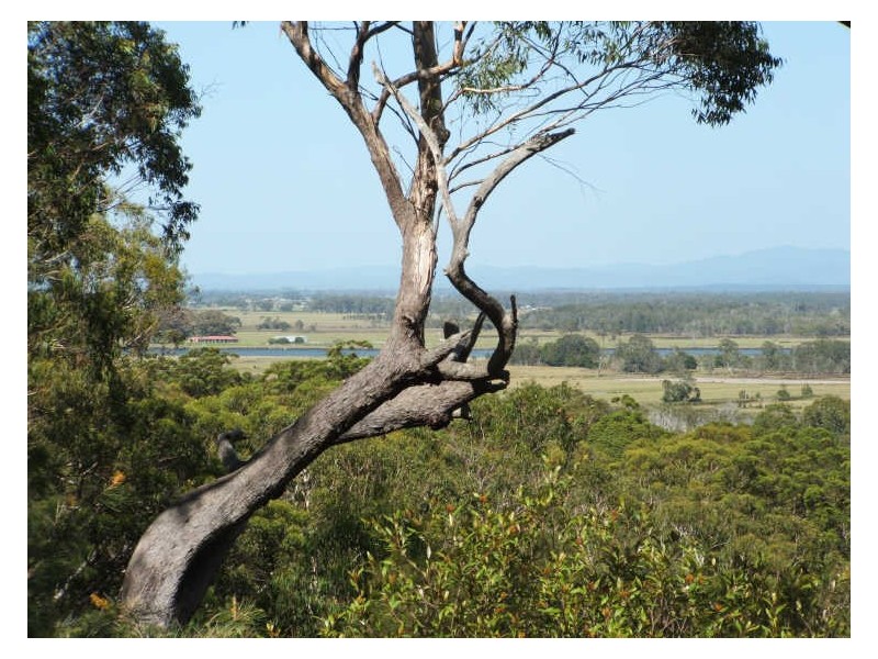 91 Arakoon Road, Arakoon,, South West Rocks NSW 2431