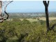 91 Arakoon Road, Arakoon,, South West Rocks NSW 2431