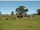 Lot 1 Plummers Lane, Clybucca NSW 2440