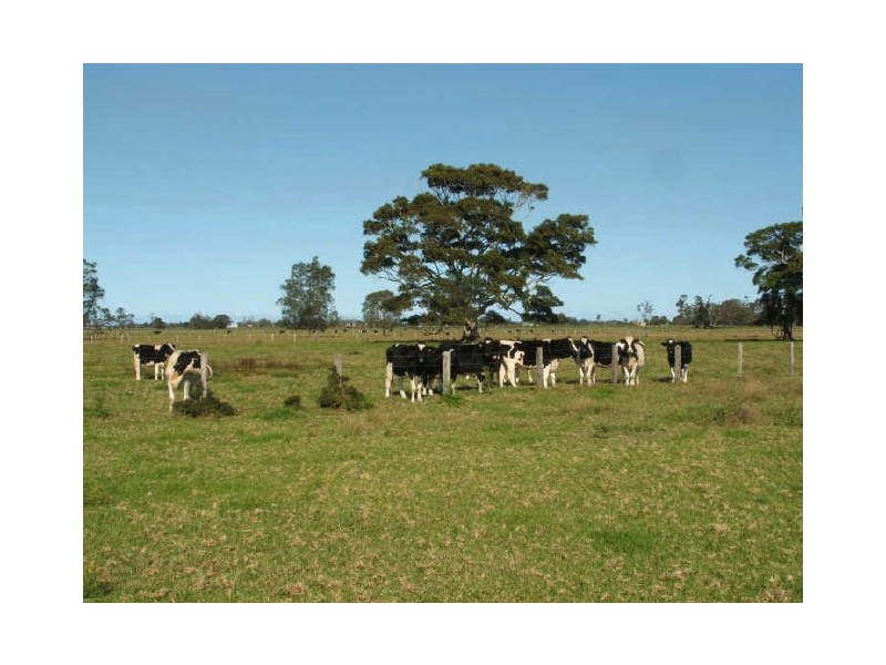 Lot 1 Plummers Lane, Clybucca NSW 2440