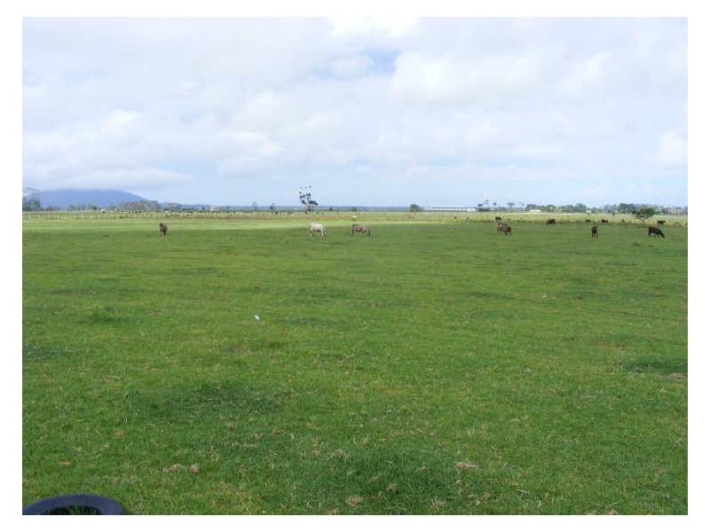 Lot 511 South West Rocks Road, Kinchela NSW 2440