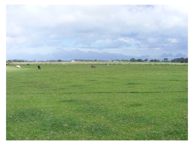 Lot 511 South West Rocks Road, Kinchela NSW 2440