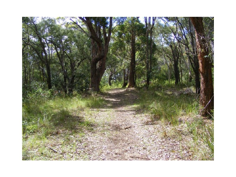 Lot 41 Belle OConnor Street, South West Rocks NSW 2431