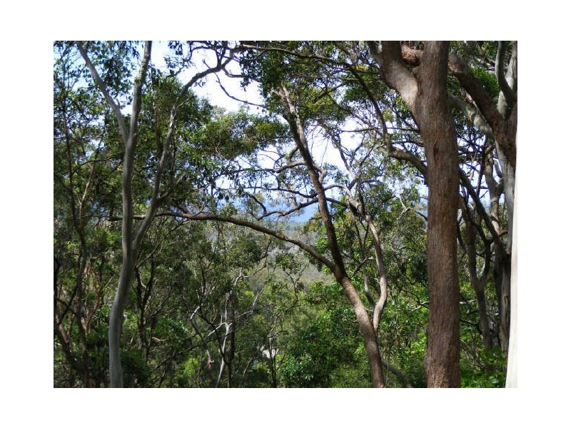 Lot 41 Belle OConnor Street, South West Rocks NSW 2431