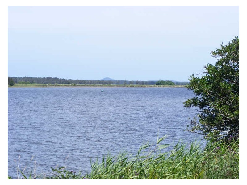 919 Plummers Lane,, Rainbow Reach NSW 2440