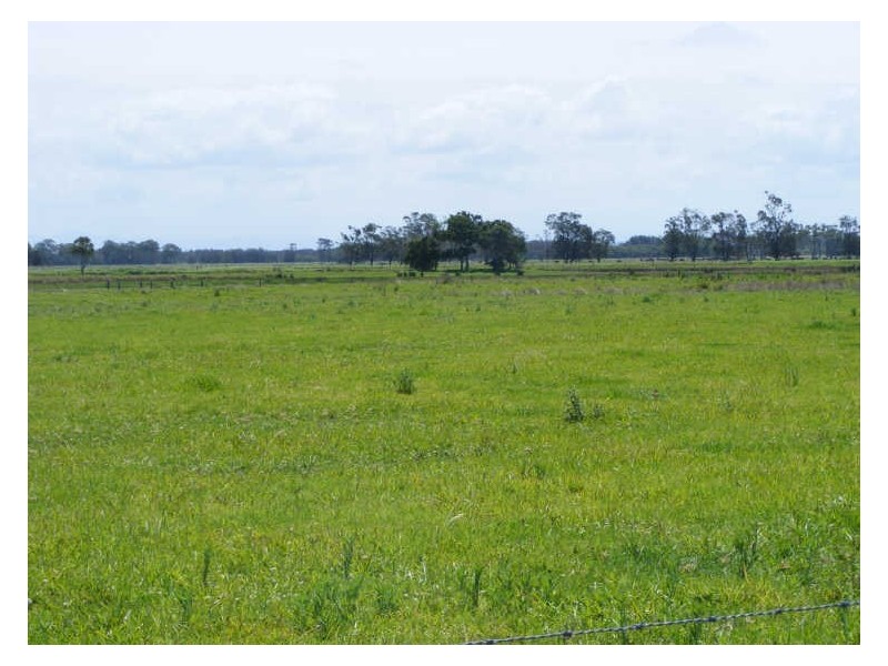 919 Plummers Lane,, Rainbow Reach NSW 2440