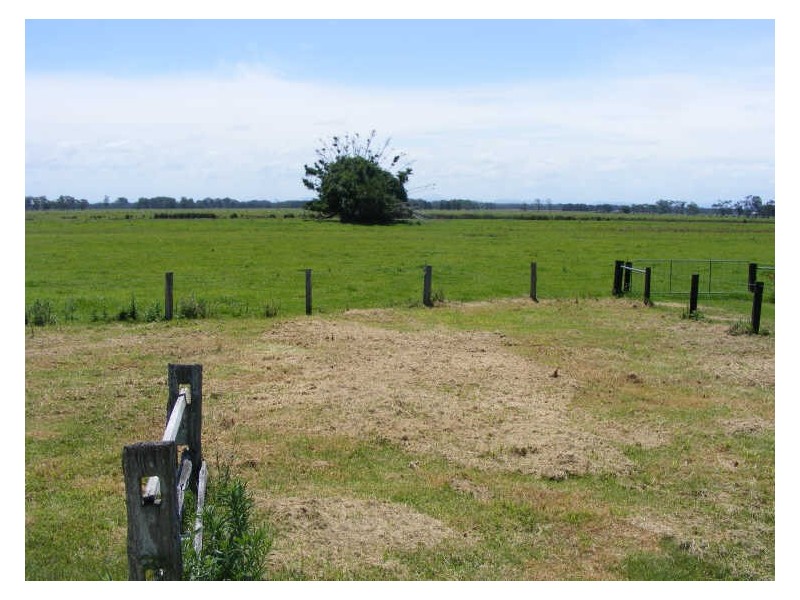 919 Plummers Lane,, Rainbow Reach NSW 2440