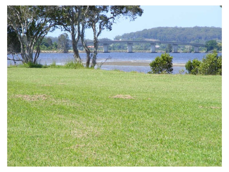 919 Plummers Lane,, Rainbow Reach NSW 2440