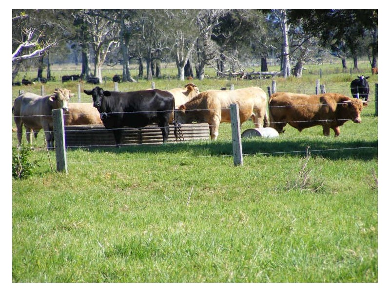 189 Summer Island Road, Smithtown NSW 2440