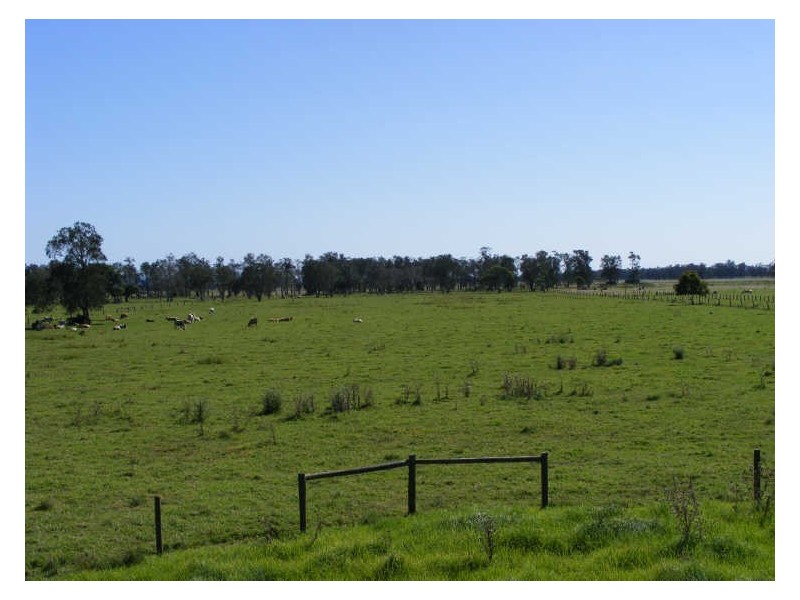 Lot 2 Summer Island Road, Smithtown NSW 2440