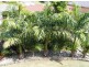 8 Goorie Place, South West Rocks NSW 2431
