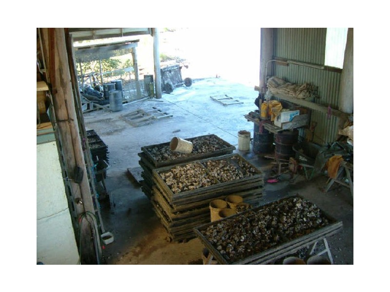 551 Rainbow Reach Road, Rainbow Reach NSW 2440