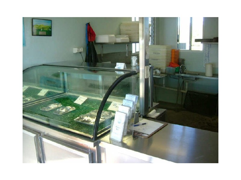 551 Rainbow Reach Road, Rainbow Reach NSW 2440