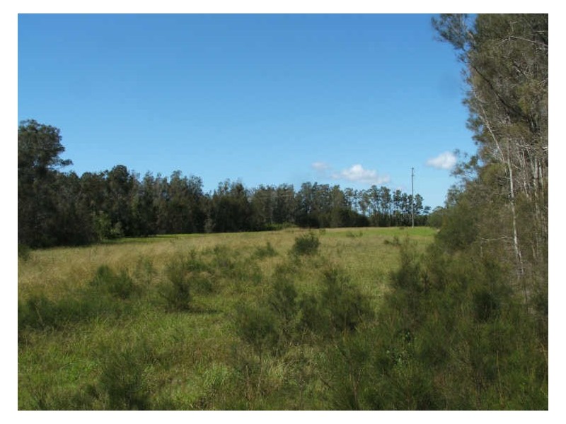 Lot 78 &80 Rainbow Reach Road, Rainbow Reach NSW 2440