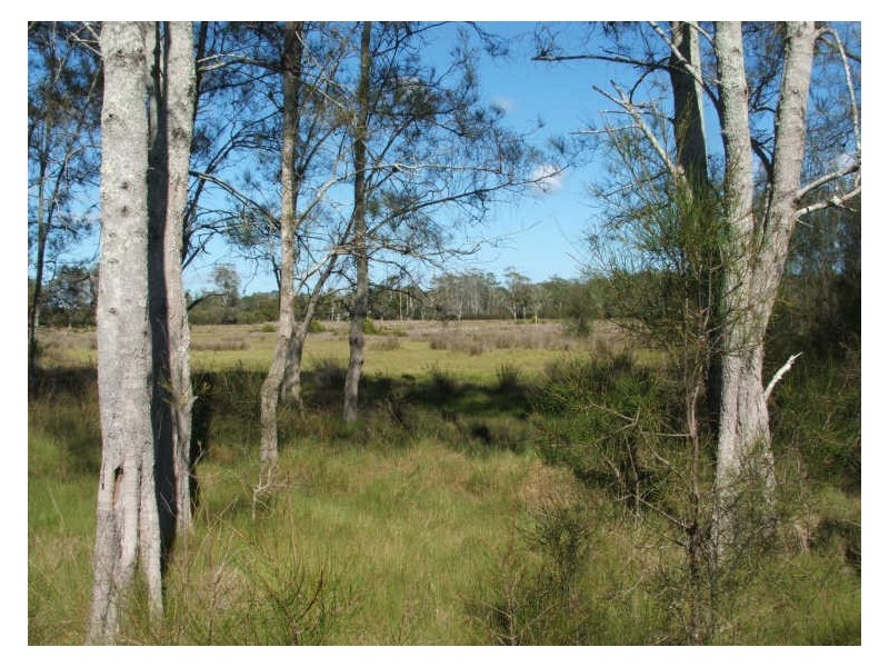 Lot 78 &80 Rainbow Reach Road, Rainbow Reach NSW 2440