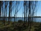Lot 78 &80 Rainbow Reach Road, Rainbow Reach NSW 2440