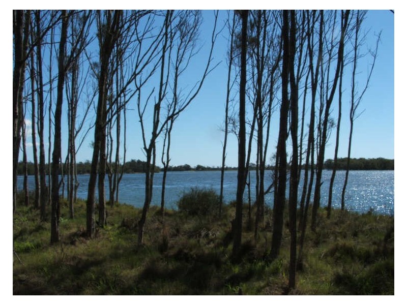 Lot 78 &80 Rainbow Reach Road, Rainbow Reach NSW 2440