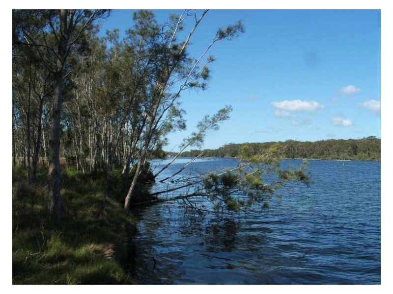Lot 78 &80 Rainbow Reach Road, Rainbow Reach NSW 2440