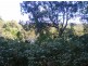 29 Seaview Street, South West Rocks NSW 2431