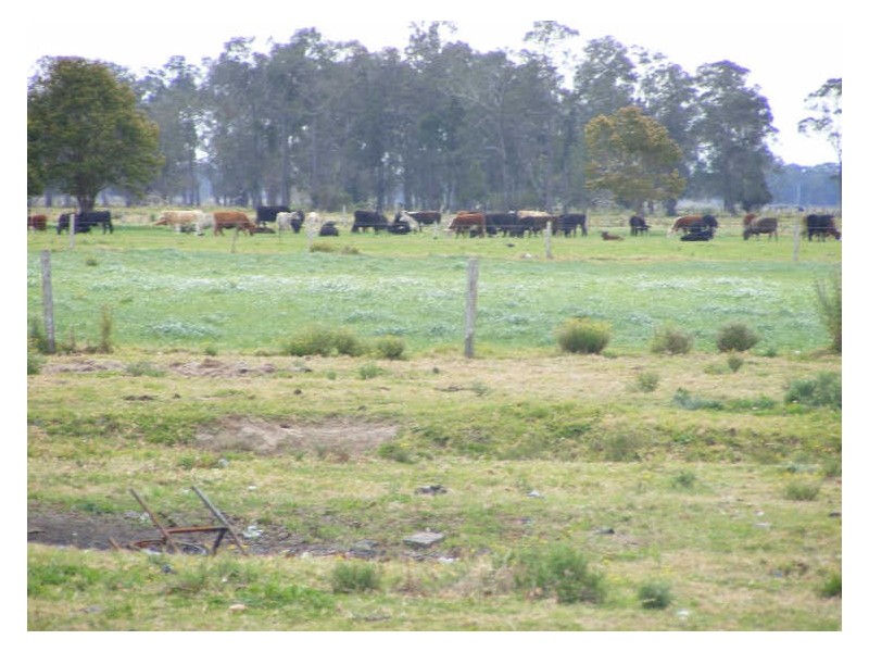 61 Two Hills Lane, Smithtown NSW 2440