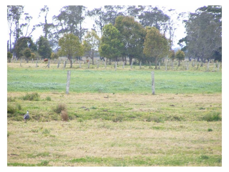 61 Two Hills Lane, Smithtown NSW 2440