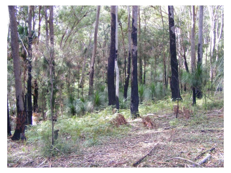 47 Ferntree Close, Arakoon, South West Rocks NSW 2431