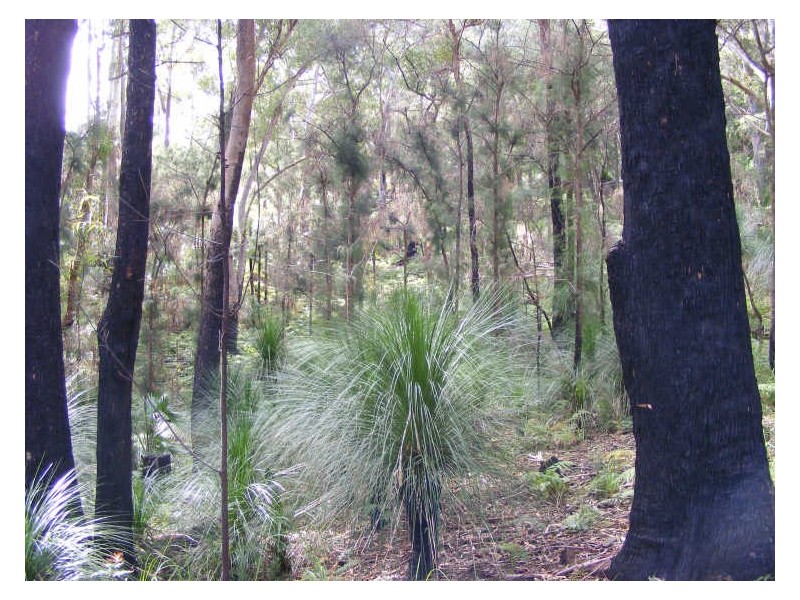 47 Ferntree Close, Arakoon, South West Rocks NSW 2431