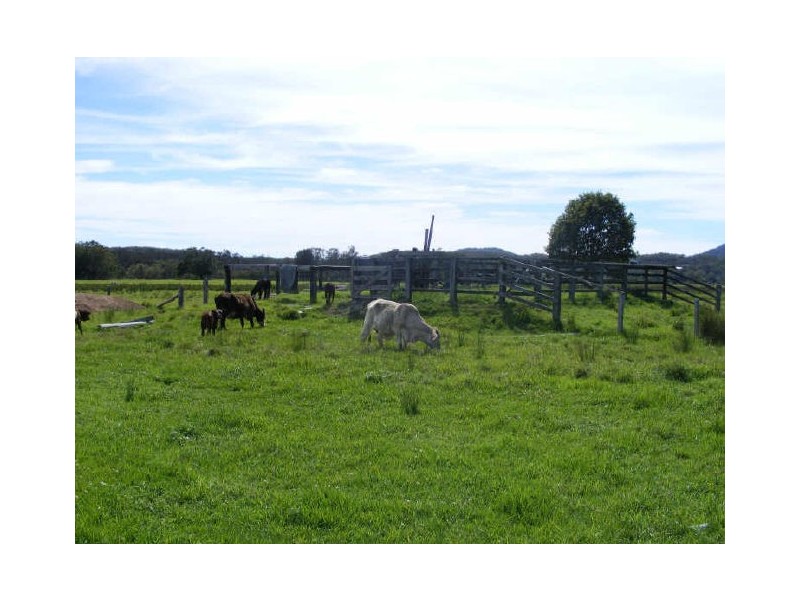 117 Boyters Lane, Jerseyville NSW 2431