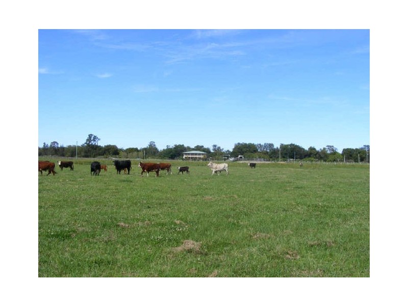 117 Boyters Lane, Jerseyville NSW 2431